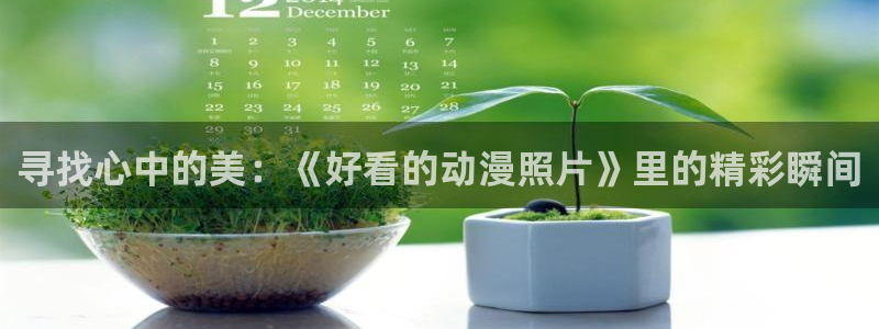 omofun动漫官网在线看