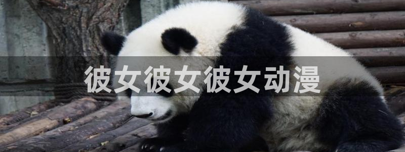omofun动漫在线观看