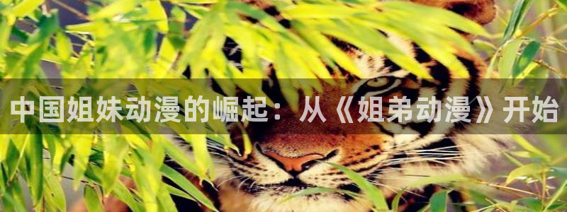 omofun轻量版
