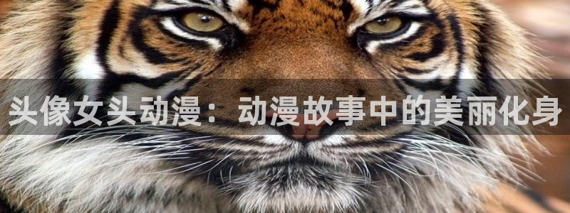 omofun网址：头像女头动漫：动漫故事中的美丽化身