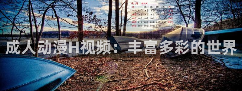 omofun新版本：成人动漫H视频：丰富多彩的世界