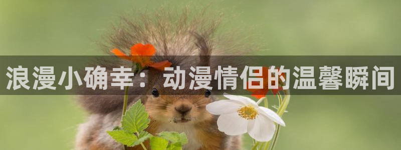 omofun官网下载：浪漫小确幸：动漫情侣的温馨瞬间