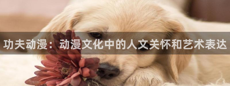 omofun 动漫：功夫动漫：动漫文化中的人文关怀和艺术表达