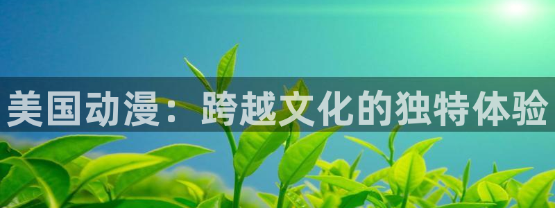 omofun. com：美国动漫：跨越文化的独特体验