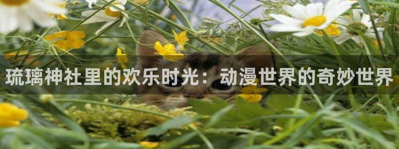 omofunapp官网：琉璃神社里的欢乐时光：动漫世界的奇妙世界