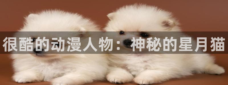 omofun动漫在线：很酷的动漫人物：神秘的星月猫