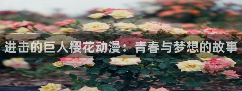 omofun动漫动漫：进击的巨人樱花动漫：青春与梦想的故事