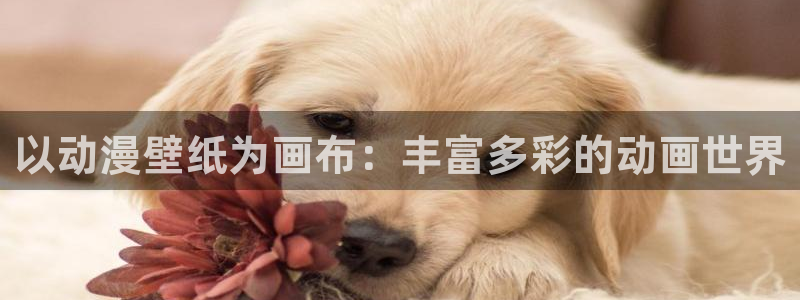 omofun动漫正版：以动漫壁纸为画布：丰富多彩的动画世界