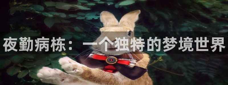 omofun缓存：夜勤病栋：一个独特的梦境世界
