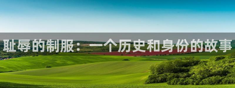 omofun电脑版：耻辱的制服：一个历史和身份的故事