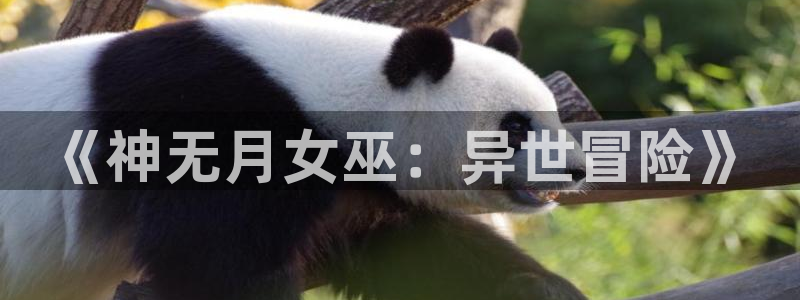 omofun动漫下载：《神无月女巫：异世冒险》