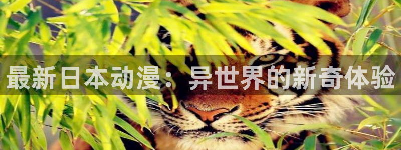网页版omofun：最新日本动漫：异世界的新奇体验