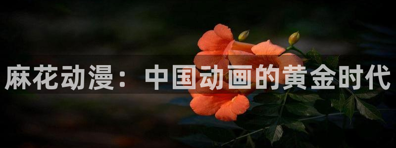 动漫omofun下载：麻花动漫：中国动画的黄金时代