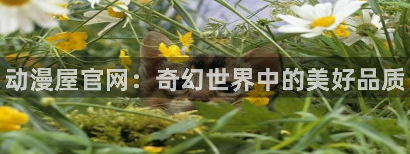 https://omofun：动漫屋官网：奇幻世界中的美好品质