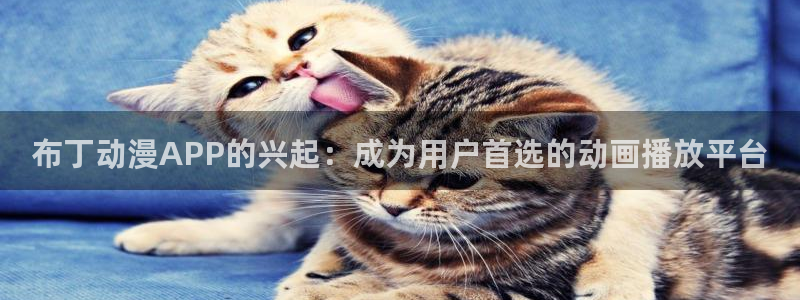 omofun官网最新版：布丁动漫APP的兴起：成为用户首选的动画播放平台
