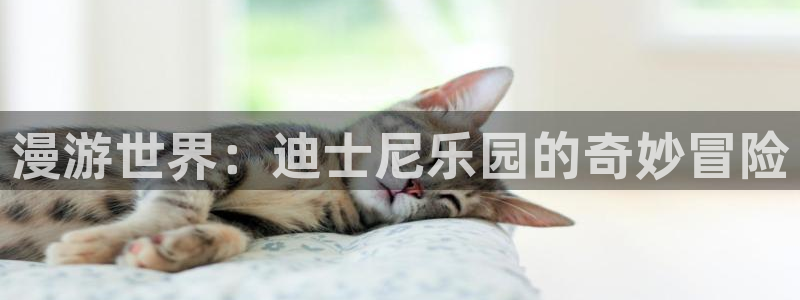 omofun正版官方：漫游世界：迪士尼乐园的奇妙冒险