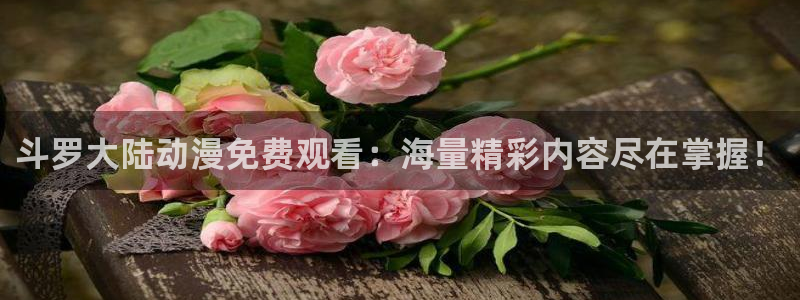 omofun免费看动漫：斗罗大陆动漫免费观看：海量精彩内容尽在掌握！