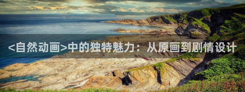 omofunapp：<自然动画>中的独特魅力：从原画到剧情设计