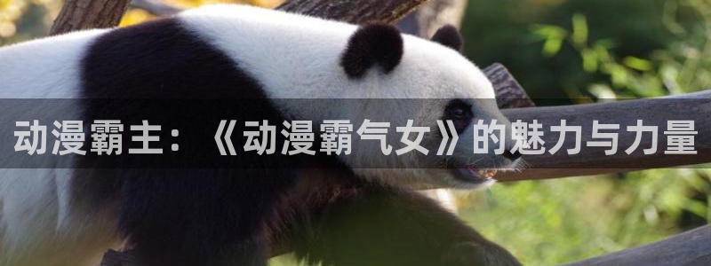 omofun下载ios：动漫霸主：《动漫霸气女》的魅力与力量